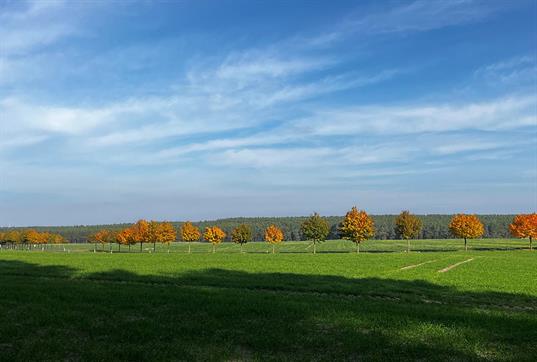 herbstzauber